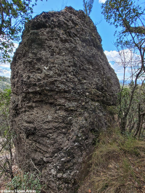 Imatge:Agulleta de la carena de Rosseguers