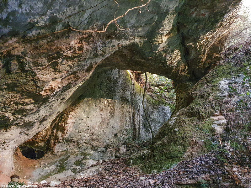 Imatge:Cova-avenc del Racó